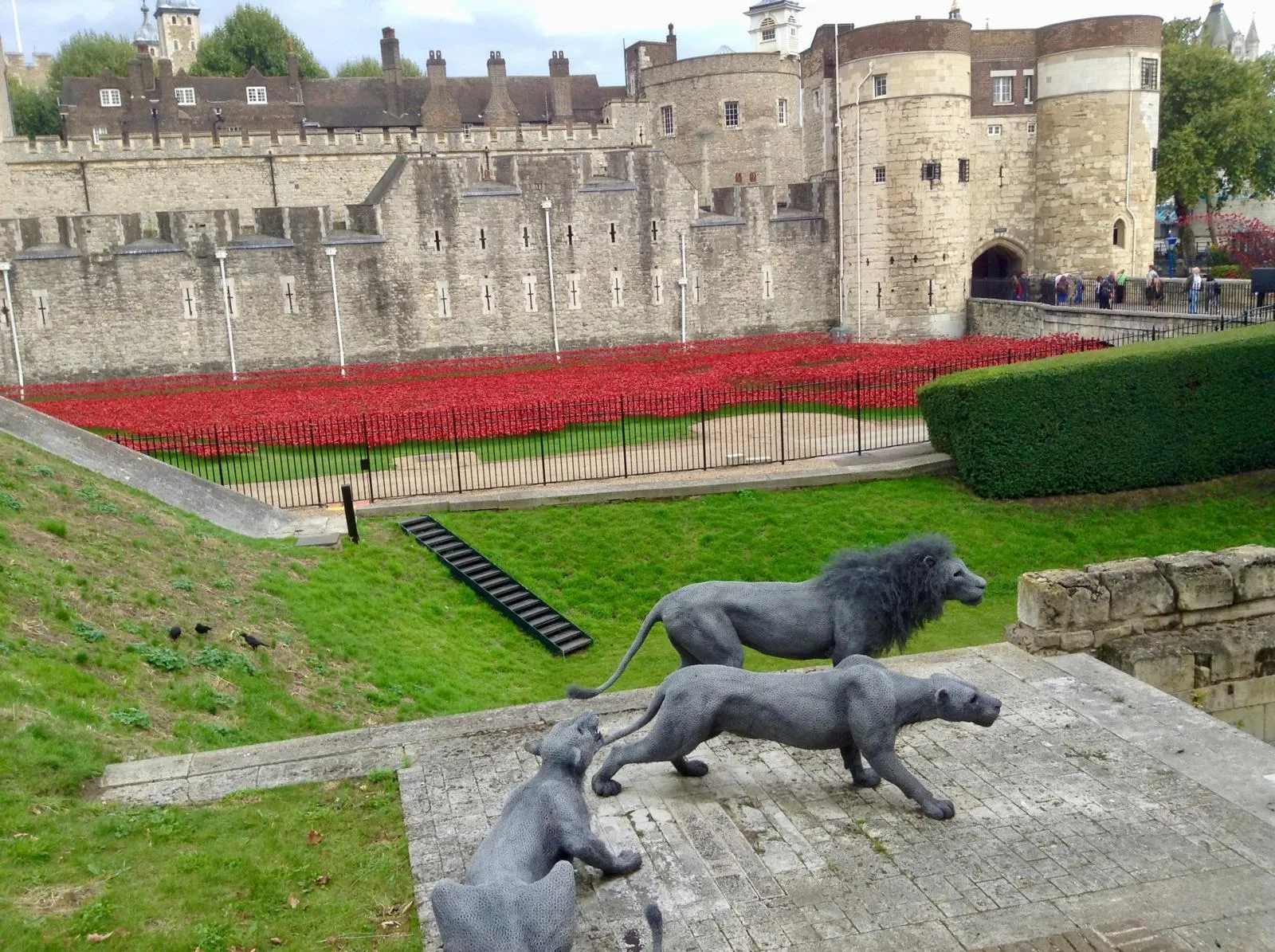 Anita's London Tours - Tour Image